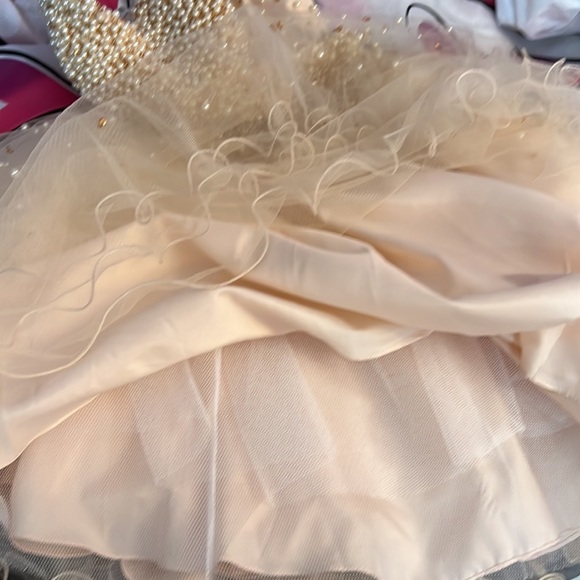 Terani Couture beautiful dress size 0 - Picture 7 of 8